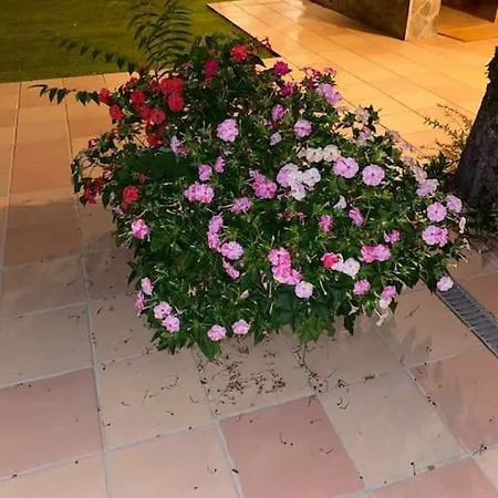 Casa Con Jardin En Barcelona Ideal Familias. Sant Cugat del Valles
